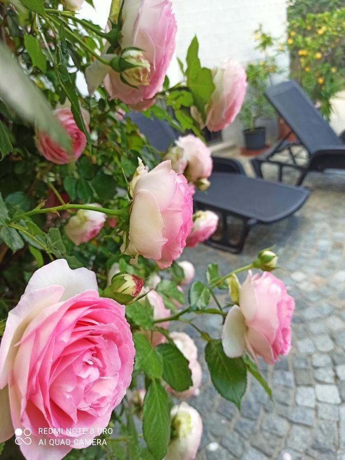 D'Or Duble' Bed And Breakfast Carignano  외부 사진